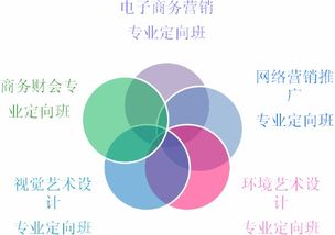 电子商务专业考研考管综