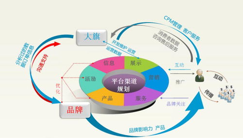 杭州电子商务师专业系统