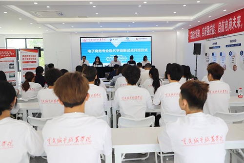 电子商务班都学什么专业