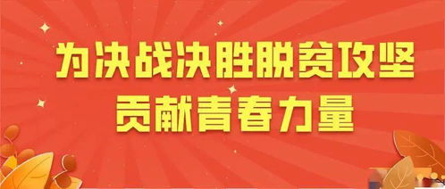 青春力量，砥砺前行——3名95后选调生拟同期提拔展现青年担当