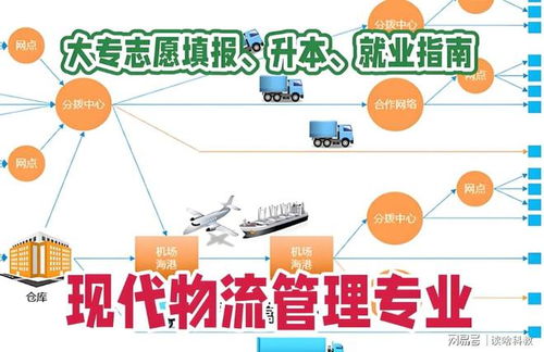 供应链与电子商务专业