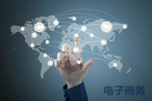 国外电子商务方面的专业